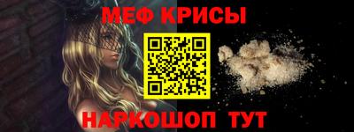 гашик Кингисепп