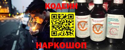 гашик Кингисепп