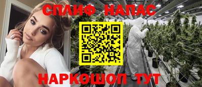 гашик Кингисепп