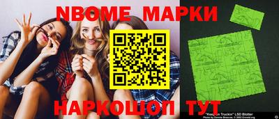 гашик Кингисепп