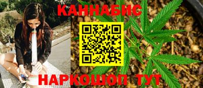 гашик Кингисепп