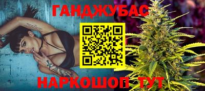гашик Кингисепп