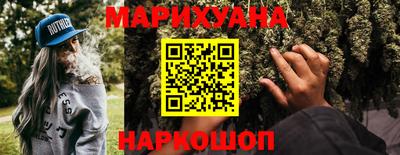 гашик Кингисепп