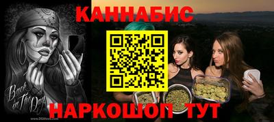 гашик Кингисепп