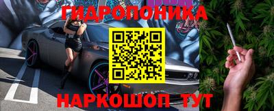 гашик Кингисепп