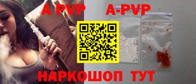 гашик Кингисепп