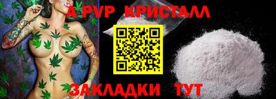 гашик Кингисепп
