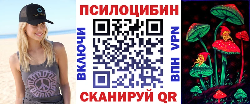 магазин продажи наркотиков  Чистополь  Псилоцибиновые грибы Psilocybine cubensis 