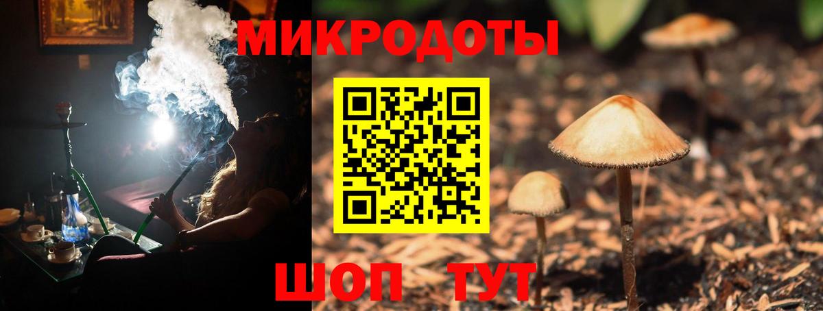 Чистополь  Псилоцибиновые грибы MAGIC MUSHROOMS  Вход с VPN  Галлюциногенные грибы GOLDEN TEACHER 